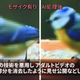 Police shared a video of a TecoGAN-polished bird with media.